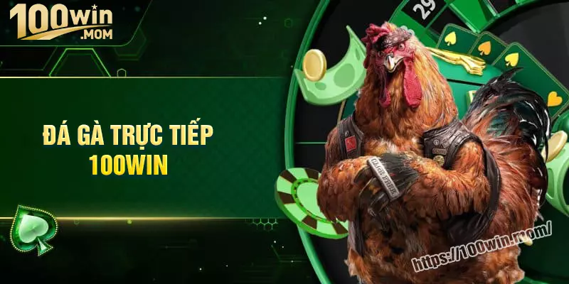 Đặt cược đá gà kịch tính hấp dẫn Đặt cược đá gà kịch tính hấp dẫn